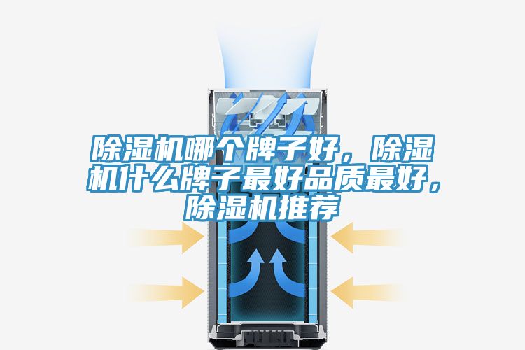 除濕機哪個牌子好,除濕機什么牌子最好品質最好,除濕機推薦