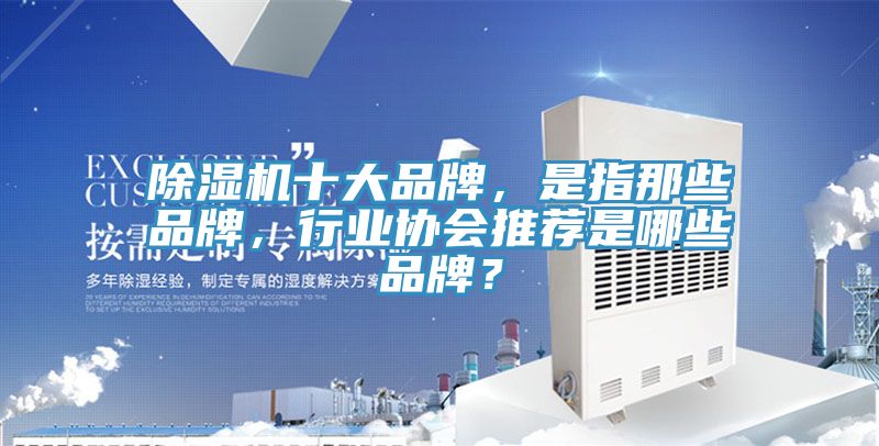 除濕機十大品牌，是指那些品牌，行業協會推薦是哪些品牌？