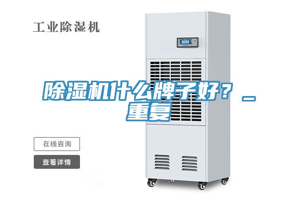 除濕機什么牌子好?_重復