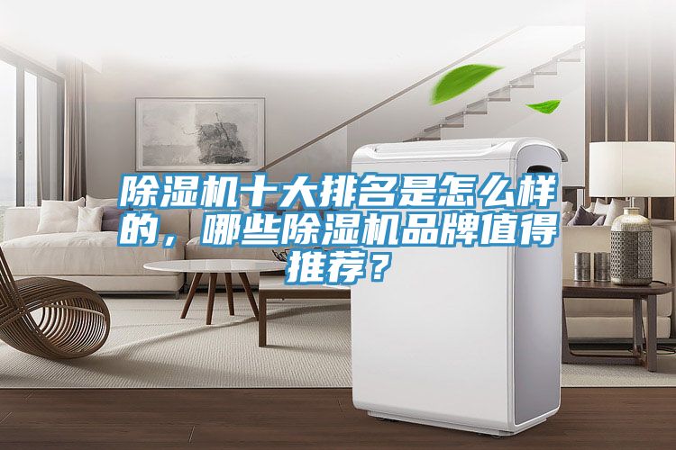 除濕機十大排名是怎么樣的，哪些除濕機品牌值得推薦？