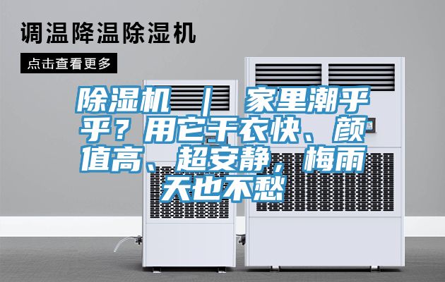 除濕機 ｜ 家里潮乎乎？用它干衣快、顏值高、超安靜，梅雨天也不愁