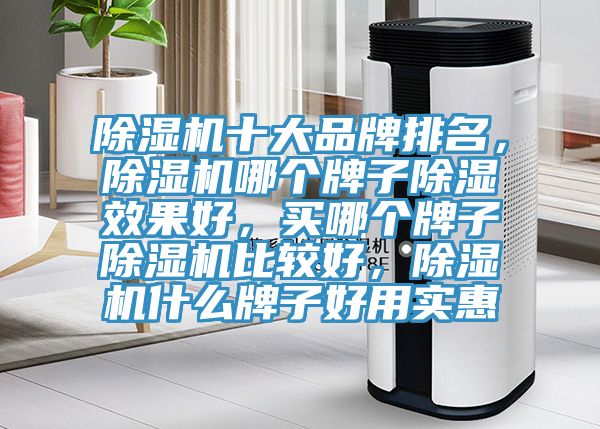 除濕機十大品牌排名，除濕機哪個牌子除濕效果好，買哪個牌子除濕機比較好，除濕機什么牌子好用實惠