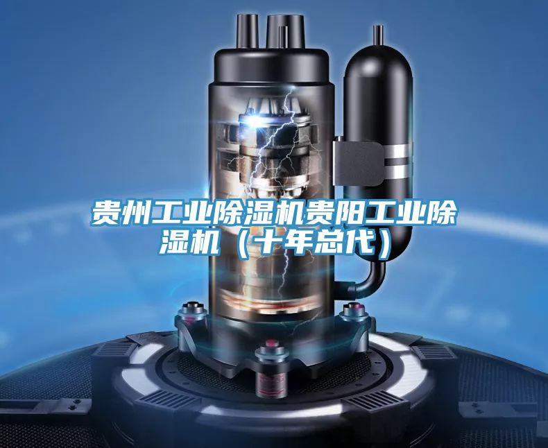 貴州工業除濕機貴陽工業除濕機(十年總代)
