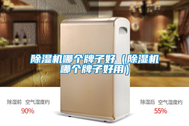 除濕機哪個牌子好(除濕機哪個牌子好用)
