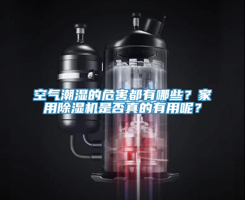 空氣潮濕的危害都有哪些？家用除濕機(jī)是否真的有用呢？