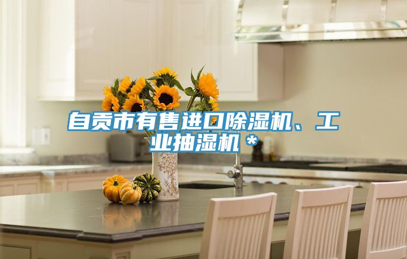 自貢市有售進口除濕機、工業抽濕機＊