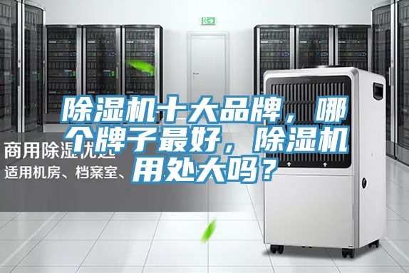 除濕機十大品牌，哪個牌子最好，除濕機用處大嗎？