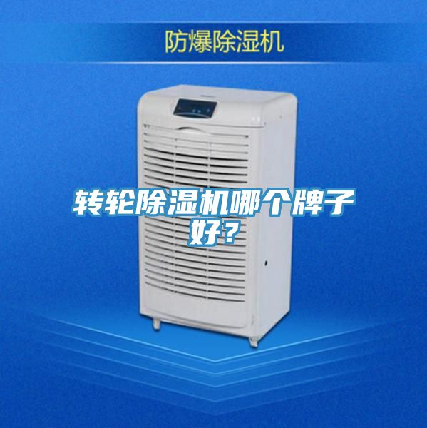 轉(zhuǎn)輪除濕機(jī)哪個牌子好？