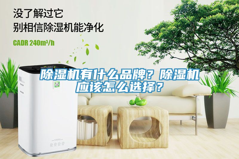 除濕機(jī)有什么品牌？除濕機(jī)應(yīng)該怎么選擇？
