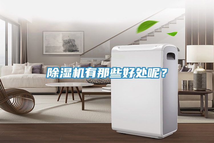 除濕機有那些好處呢？