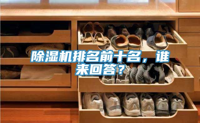 除濕機排名前十名，誰來回答？