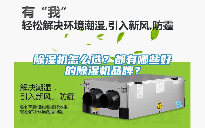 除濕機(jī)怎么選？都有哪些好的除濕機(jī)品牌？