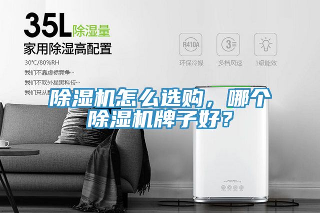 除濕機(jī)怎么選購，哪個除濕機(jī)牌子好？
