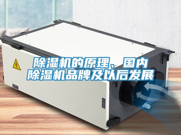 除濕機的原理、國內(nèi)除濕機品牌及以后發(fā)展