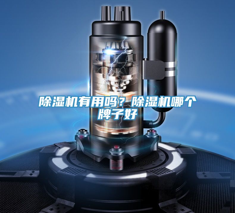 除濕機有用嗎？除濕機哪個牌子好