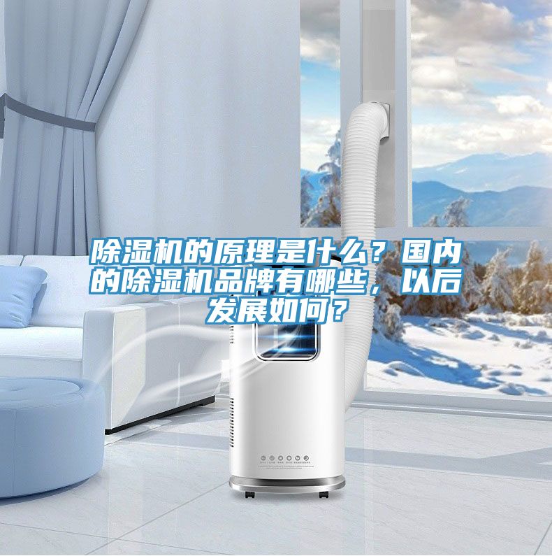 除濕機的原理是什么？國內(nèi)的除濕機品牌有哪些，以后發(fā)展如何？