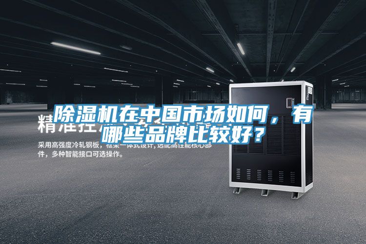 除濕機在中國市場如何,有哪些品牌比較好?