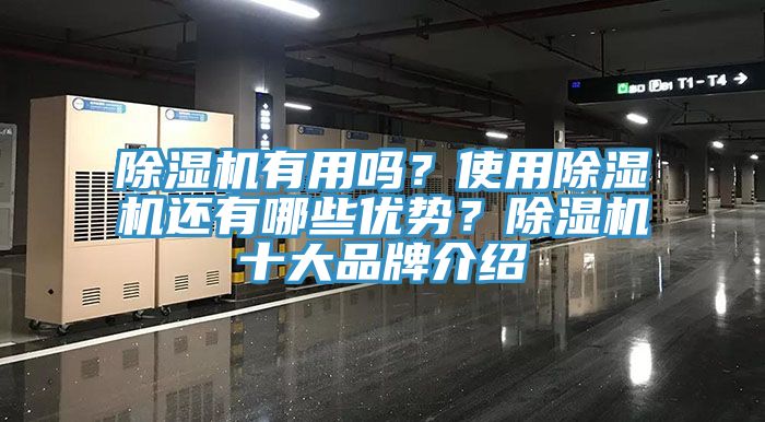 除濕機有用嗎？使用除濕機還有哪些優(yōu)勢？除濕機十大品牌介紹