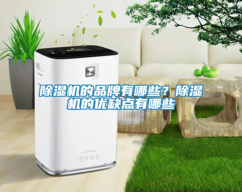 除濕機(jī)的品牌有哪些？除濕機(jī)的優(yōu)缺點(diǎn)有哪些