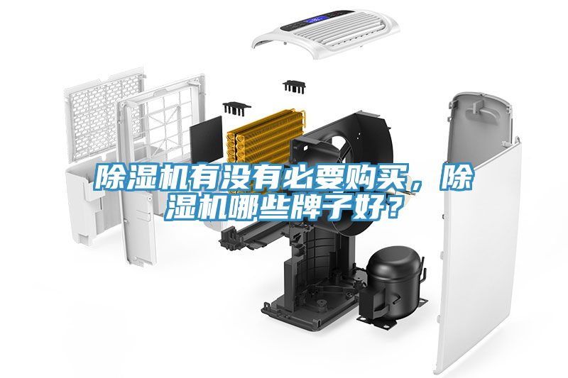 除濕機有沒有必要購買，除濕機哪些牌子好？