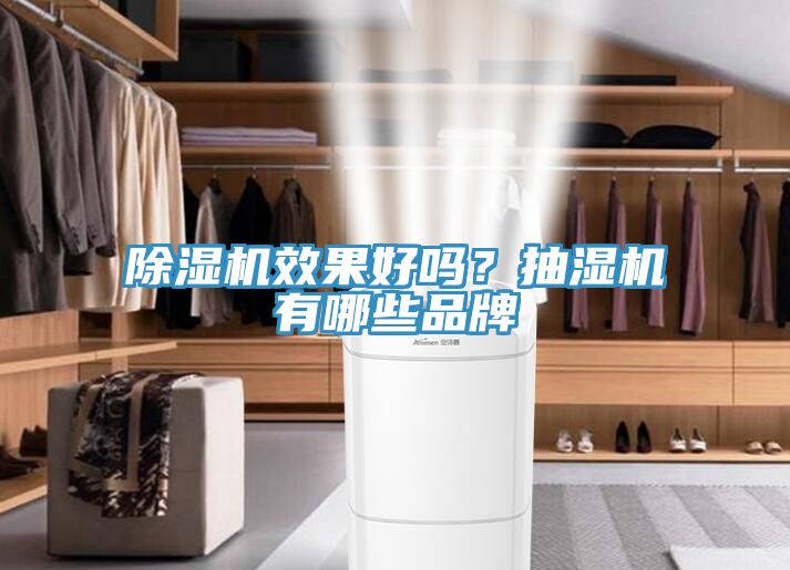 除濕機(jī)效果好嗎？抽濕機(jī)有哪些品牌