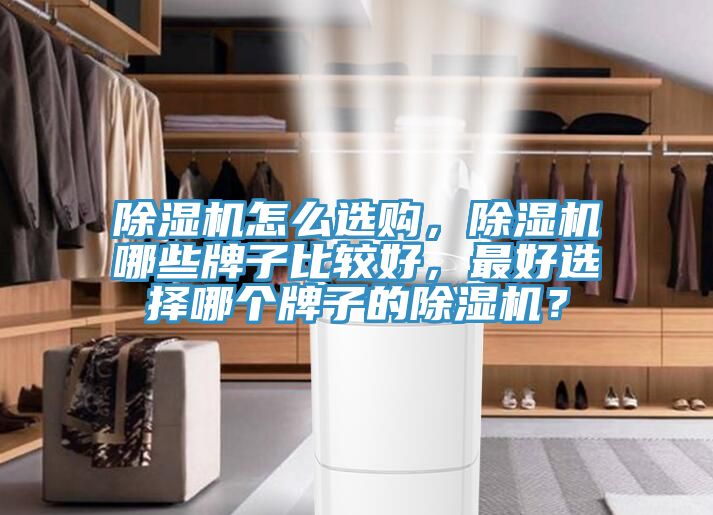 除濕機(jī)怎么選購，除濕機(jī)哪些牌子比較好，最好選擇哪個牌子的除濕機(jī)？