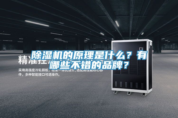 除濕機的原理是什么？有哪些不錯的品牌？