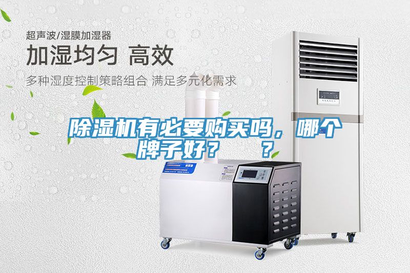 除濕機(jī)有必要購買嗎，哪個(gè)牌子好？  ？