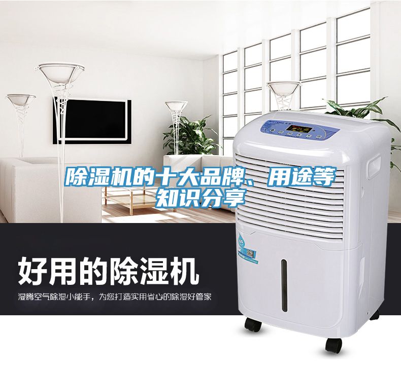 除濕機(jī)的十大品牌、用途等知識(shí)分享