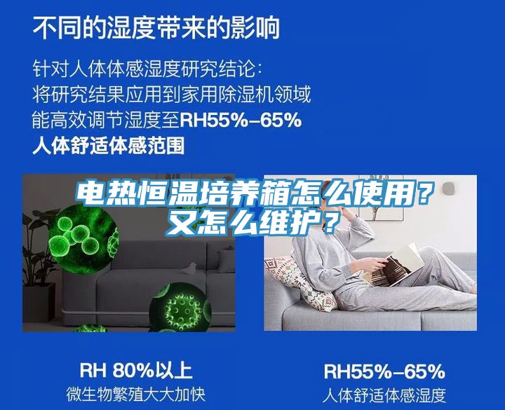電熱恒溫培養(yǎng)箱怎么使用？又怎么維護(hù)？