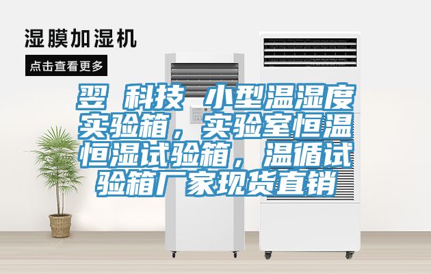 翌昇科技 小型溫濕度實驗箱，實驗室恒溫恒濕試驗箱，溫循試驗箱廠家現(xiàn)貨直銷