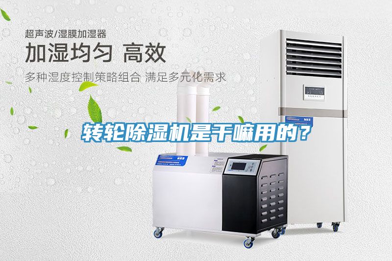 轉(zhuǎn)輪除濕機(jī)是干嘛用的？
