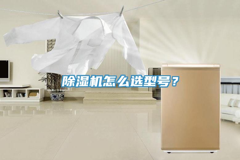除濕機怎么選型號？