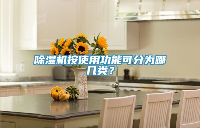 除濕機按使用功能可分為哪幾類？
