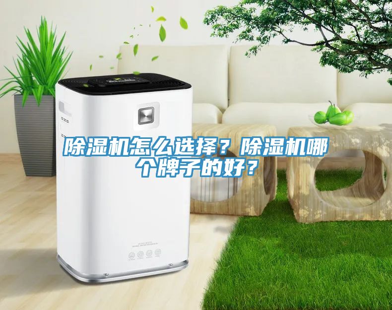 除濕機怎么選擇？除濕機哪個牌子的好？