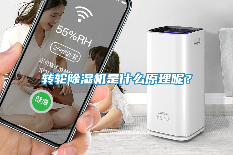轉(zhuǎn)輪除濕機是什么原理呢？