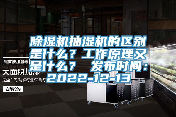 除濕機抽濕機的區(qū)別是什么？工作原理又是什么？ 發(fā)布時間：2022-12-13