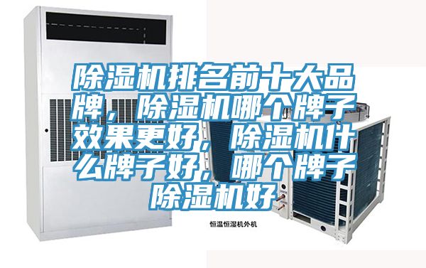 除濕機(jī)排名前十大品牌，除濕機(jī)哪個牌子效果更好，除濕機(jī)什么牌子好，哪個牌子除濕機(jī)好