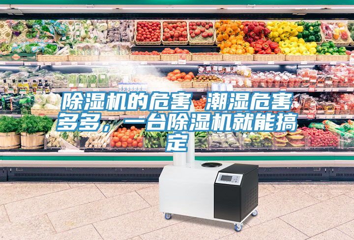 除濕機(jī)的危害 潮濕危害多多，一臺(tái)除濕機(jī)就能搞定
