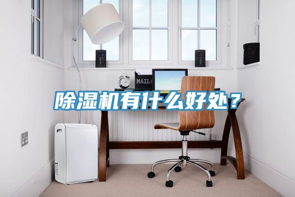 除濕機(jī)有什么好處？