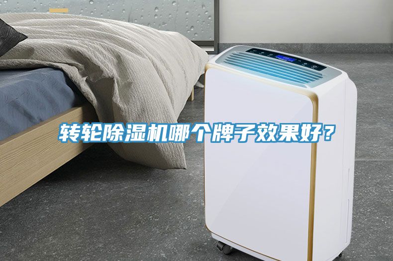 轉(zhuǎn)輪除濕機(jī)哪個牌子效果好？