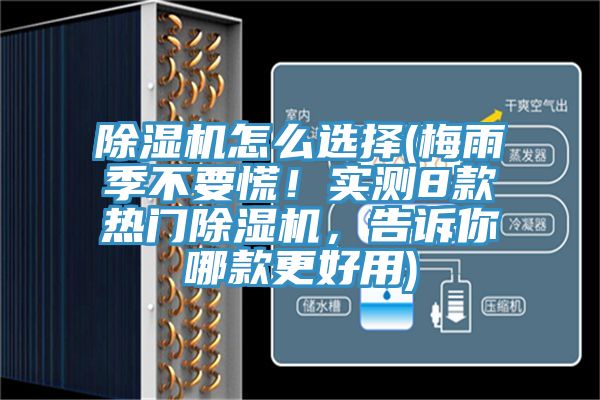 除濕機怎么選擇(梅雨季不要慌！實測8款熱門除濕機，告訴你哪款更好用)