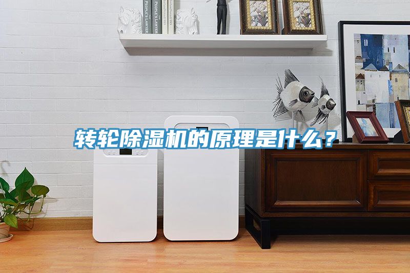 轉(zhuǎn)輪除濕機(jī)的原理是什么？