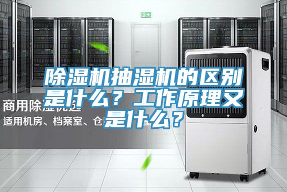 除濕機抽濕機的區(qū)別是什么？工作原理又是什么？