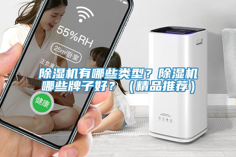 除濕機(jī)有哪些類型？除濕機(jī)哪些牌子好？（精品推薦）