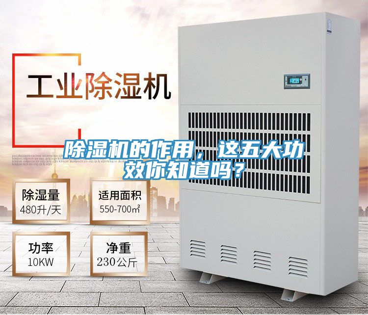 除濕機(jī)的作用，這五大功效你知道嗎？